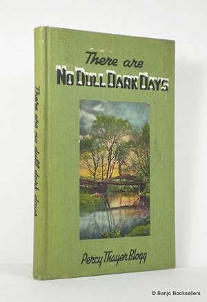Seller image for There are No Dull Dark Days for sale by Banjo Booksellers, IOBA