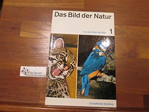 Seller image for Das Bild der Natur. Aus dem Reich der Tiere 1 Hrsg. von Ernst W. Bauer for sale by Antiquariat im Kaiserviertel | Wimbauer Buchversand