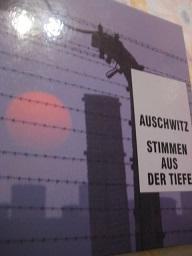 Seller image for Auschwitz Stimmen aus der Tiefe for sale by Alte Bcherwelt
