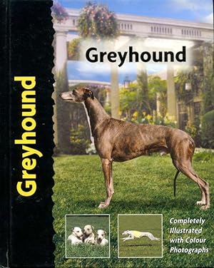 Greyhound (Pet love)