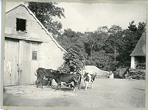 Campagne française, vers 1910