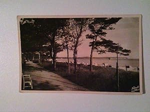 AK. Ostseebad Boltenhagen. Strandpromenadenpartie. Fotohandabzug. s/w.