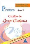 Peones del Cabildo de Gran Canaria (Grupo V). Temario y test parte específica.