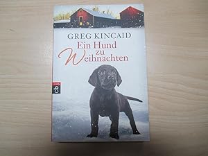 Ein Hund zu Weihnachten