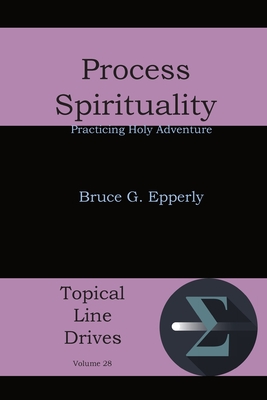 Image du vendeur pour Process Spirituality: Practicing Holy Adventure (Paperback or Softback) mis en vente par BargainBookStores