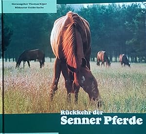 Image du vendeur pour Rckkehr der Senner Pferde: Die lteste deutsche Pferderasse kommt in ihre Heimat zurck mis en vente par Paderbuch e.Kfm. Inh. Ralf R. Eichmann