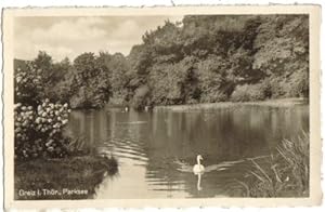 Bild des Verkufers fr 6003,Greiz Thringen Schwan im Parktsee zum Verkauf von Versandhandel Lehenbauer