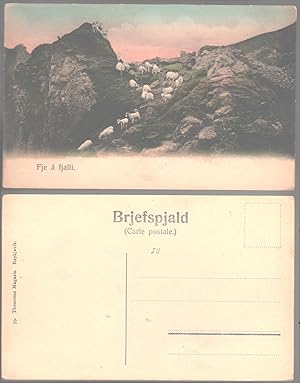 Icelandic Postcard #16