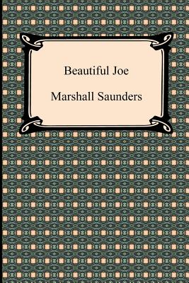 Immagine del venditore per Beautiful Joe (Paperback or Softback) venduto da BargainBookStores