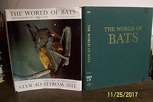 The World of Bats