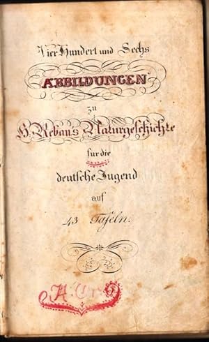 Vierhundert und sechs Abbildungen zu H. Rebau s Naturgeschichte für die deutsche Jugend auf 43 Ta...