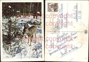 Seller image for 430680,Reh Rehkitz Winterwald Jagd Wild pub SOS Kinderdorf for sale by Versandhandel Lehenbauer