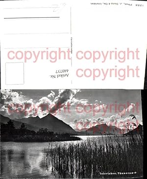 Seller image for 440737,Interlaken Thunersee See Bergkulisse Kt Bern for sale by Versandhandel Lehenbauer