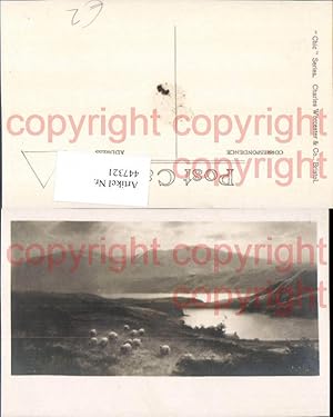 Bild des Verkufers fr 447321,Knstler AK Elmer Keene Tiere Schafe Loch See Bergkulisse zum Verkauf von Versandhandel Lehenbauer