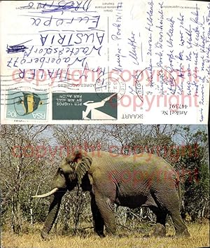 Bild des Verkufers fr 447391,Nasionale Krugerwildtuin Tier Elefant zum Verkauf von Versandhandel Lehenbauer