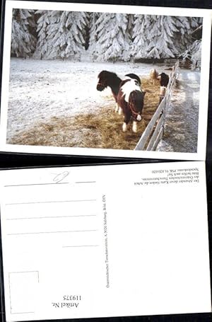 Bild des Verkufers fr 119375,sterreichischer Tierschutzverein Pony u. Schaf Winteransicht Koppel zum Verkauf von Versandhandel Lehenbauer