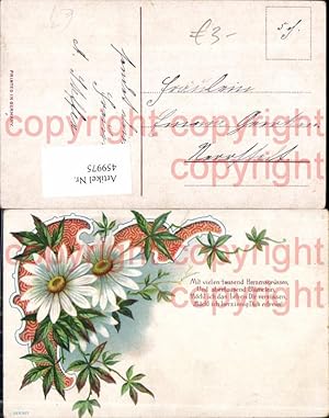 Bild des Verkufers fr 459975,Litho Margeriten Wilder Wein Ranke Blume Blumen Text Spruch zum Verkauf von Versandhandel Lehenbauer