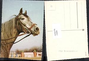 Seller image for 136000,Pferde Pferd for sale by Versandhandel Lehenbauer