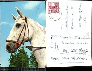 Seller image for 136004,Pferde Pferd for sale by Versandhandel Lehenbauer