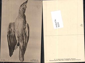 Seller image for 96255,Jagd A. Drer Ackermann Verlag Vogel erlegt for sale by Versandhandel Lehenbauer