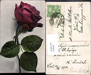 Bild des Verkufers fr 338660,Blumen Rote Rose zum Verkauf von Versandhandel Lehenbauer