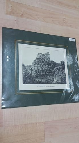 Seltene Original Lithographie um 1860 Burg Klam Saxen Grein Perg Clam 42 X 40 cm Stich