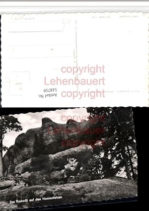 Seller image for 518759,Jonsdorf Krokodil auf den Nonnenfelsen Felsen for sale by Versandhandel Lehenbauer