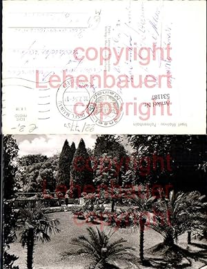 Bild des Verkufers fr 531187,Insel Mainau im Bodensee Konstanz Palmen garten zum Verkauf von Versandhandel Lehenbauer