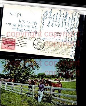 Bild des Verkufers fr 4947704,Blue Grass Horse Farm in Kentucky Pferde Tiere Zaun zum Verkauf von Versandhandel Lehenbauer