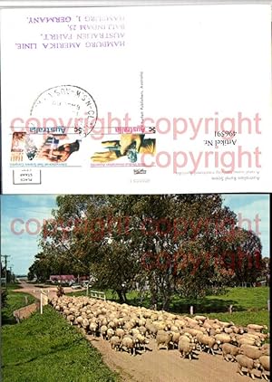 496591,Australia A rural scene typifying Schafherde Schafe