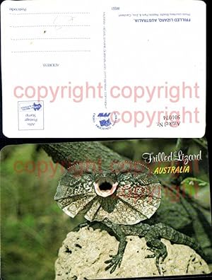 Bild des Verkufers fr 501074,Frilled Lizard Australia Echse Reptil zum Verkauf von Versandhandel Lehenbauer