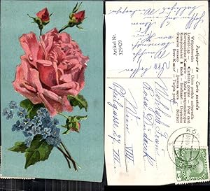Imagen del vendedor de 329429,Blumen Rote Rosen Blte Knospe Vergissmeinnicht a la venta por Versandhandel Lehenbauer