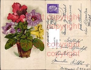 Bild des Verkufers fr 464954,Blumen Blumentopf Bunte Blten zum Verkauf von Versandhandel Lehenbauer