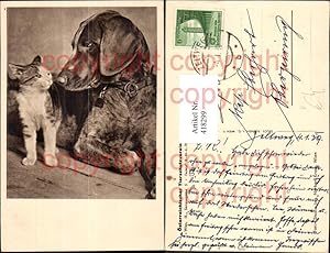 Bild des Verkufers fr 418299,Hund u. kleine Katze pub sterreichischer Tierschutzverein zum Verkauf von Versandhandel Lehenbauer