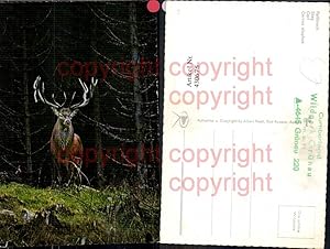 Bild des Verkufers fr 430675,Rothirsch Jagd Wild zum Verkauf von Versandhandel Lehenbauer