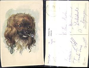 Seller image for 300630,Knstler Ak Tiere Hund Hundekopf m. Blume Vergissmeinnicht i. Maul Yorkshire Terrier for sale by Versandhandel Lehenbauer