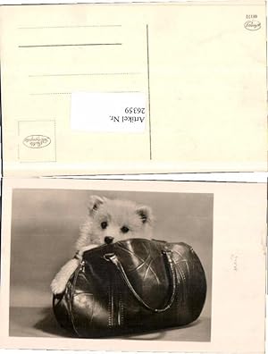 Bild des Verkufers fr 26359,Ssse kleiner Hund in Handtasche zum Verkauf von Versandhandel Lehenbauer