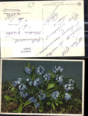 Bild des Verkufers fr 264939,Blumen Alpenvergissmeinnicht Alpenflora zum Verkauf von Versandhandel Lehenbauer