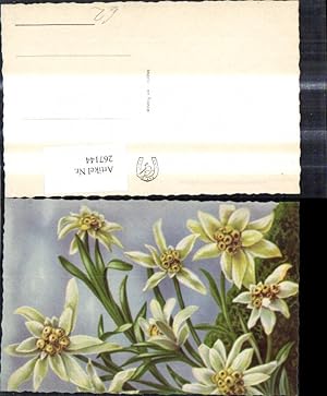 Bild des Verkufers fr 267144,Blumen Edelwei Alpenflora zum Verkauf von Versandhandel Lehenbauer