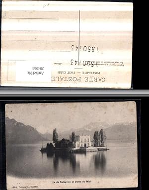 Bild des Verkufers fr 304065,Montreux Ile de Salagnon et Dents du Midi Insel Gebude Bergkulisse Kt Waadt zum Verkauf von Versandhandel Lehenbauer