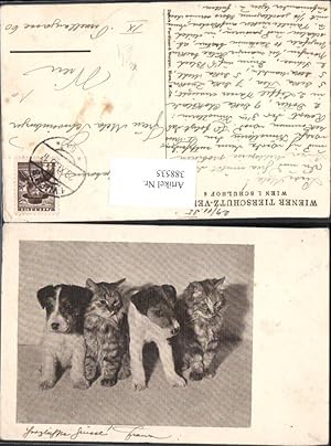 Image du vendeur pour 388535,Tiere Katzen Hunde Gruppenbild pub Wiener Tierschutzverein mis en vente par Versandhandel Lehenbauer