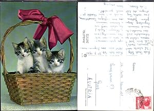 Bild des Verkufers fr 267172,Tiere Katzen Katzenkinder i. Korb Schleife zum Verkauf von Versandhandel Lehenbauer