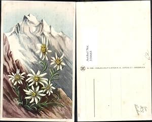 Bild des Verkufers fr 338665,Knstler Ak Blumen Edelwei Alpenflora Bergkulisse zum Verkauf von Versandhandel Lehenbauer