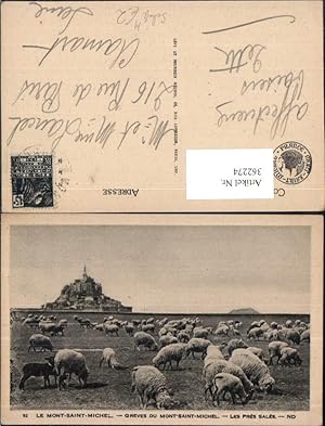 Bild des Verkufers fr 362274,Tiere Schafe Le Mont-Saint-Michel Greves Schafherde Weide zum Verkauf von Versandhandel Lehenbauer
