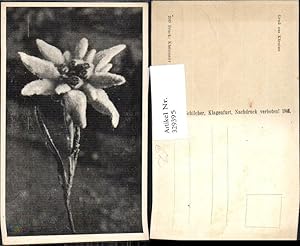 Bild des Verkufers fr 329395,Blumen Edelwei Alpenflora pub F. Schilcher zum Verkauf von Versandhandel Lehenbauer