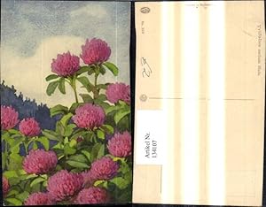Bild des Verkufers fr 134107,Knstler Ak Blumen Wiesenklee Trifolium medium Huds zum Verkauf von Versandhandel Lehenbauer