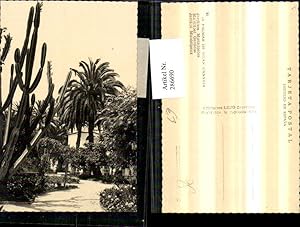 Bild des Verkufers fr 286690,Las Palmas de Gran Canaria Municipal Gardens Palmen Kaktus zum Verkauf von Versandhandel Lehenbauer