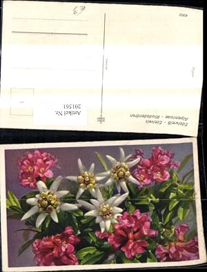 Bild des Verkufers fr 201561,Blumen Edelwei Alpenrose Alpenflora zum Verkauf von Versandhandel Lehenbauer