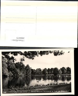 2008475,Wiener-Neustadt Pionierteich im Park der Kriegsschule