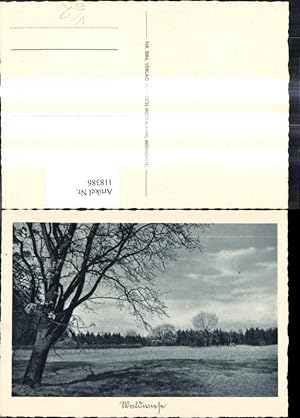 Bild des Verkufers fr 118386,Waldansicht Landschaft Wald Bume pub Heinrich Hoffmann 2094 zum Verkauf von Versandhandel Lehenbauer